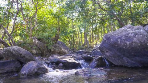 Lower Ghaghri Falls Latehar, Jharkhand