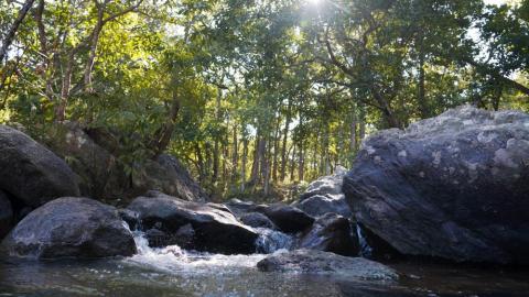 Lower Ghaghri Falls Latehar, Jharkhand