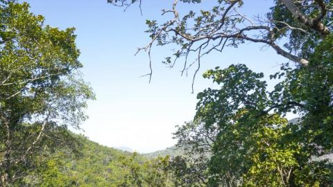 Beautiful View From Lower Ghaghri Falls 