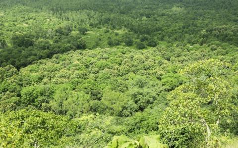 Scenic beauty from the top of Canary Hill, Hazaribagh, Jharkhand, India