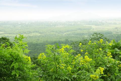 Scenic beauty from the top of Canary Hill, Hazaribagh, Jharkhand