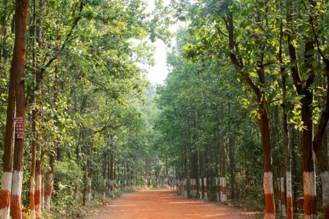 Bhagwan Birsa Biological Park Ranchi, Jharkhand, India