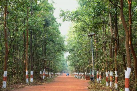 Bhagwan Birsa Biological Park Ranchi, Jharkhand, India