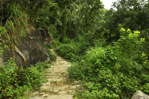 Beautiful view of pathway going up canary hill hazaribagh, jharkhand, india