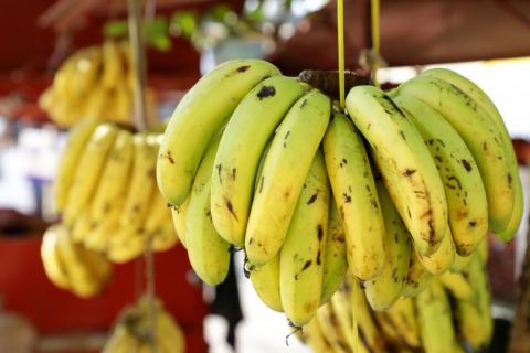 Road side fruit stall selling banana