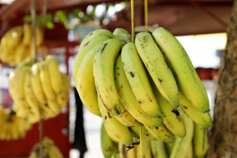 Road side fruit stall selling banana