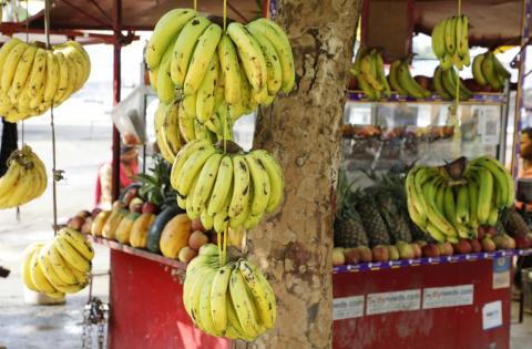 Road side fruit stall selling banana