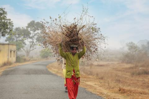 Rural Jharkhand