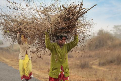 Rural Jharkhand