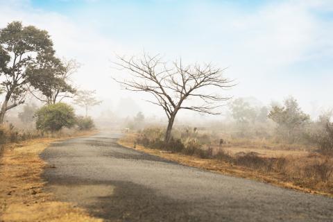 Rural landscape of Jharkhand