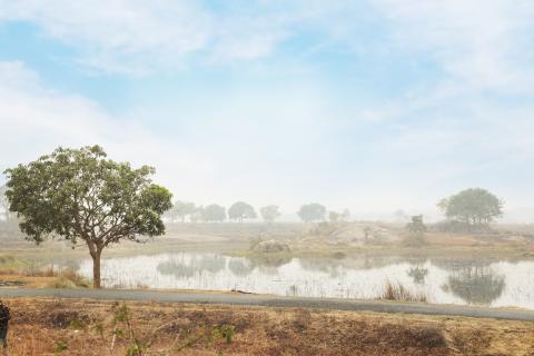 Rural landscape of Jharkhand