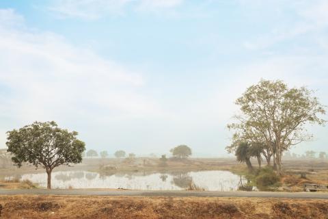 Rural landscape of Jharkhand