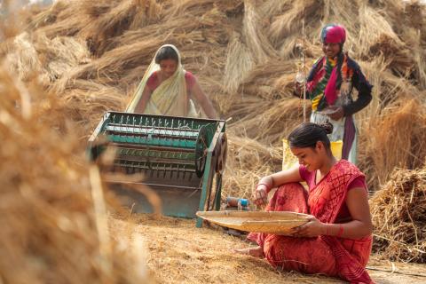 Woman working in village