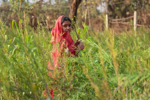 Woman standing in field