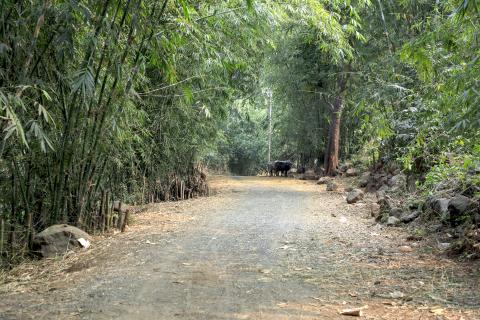 Village Landscape