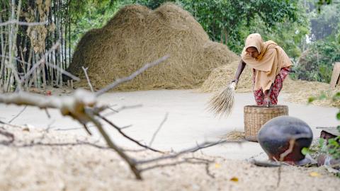 Working Peoples