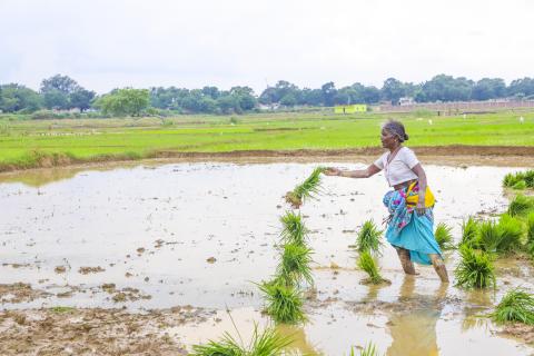 Farming