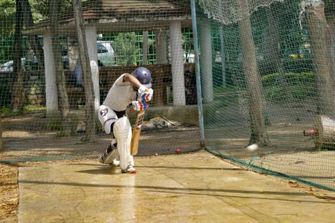 Playing cricket