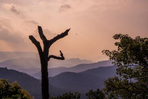 Magnolia Sunset Point, Netarhat