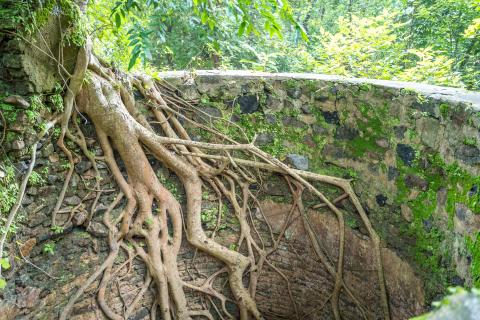 Ruins of Palamu Fort, Latehar, Jharkhand