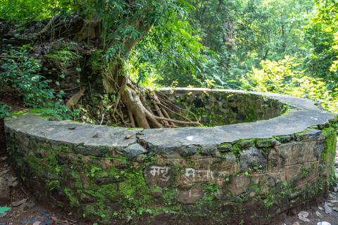 Ruins of Palamu Fort, Latehar, Jharkhand