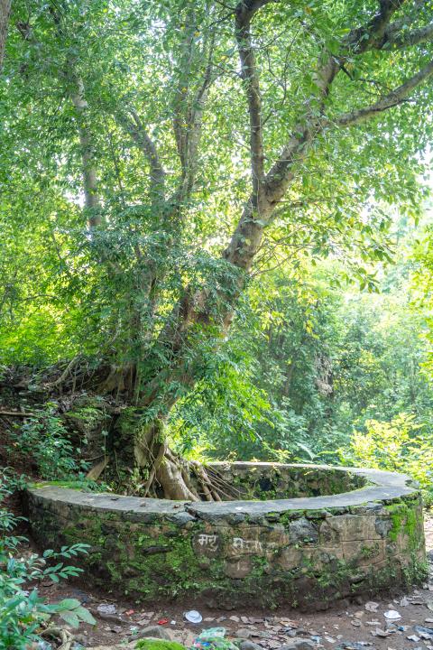 Ruins of Palamu Fort, Latehar, Jharkhand