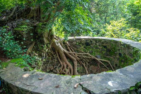 Ruins of Palamu Fort, Latehar, Jharkhand