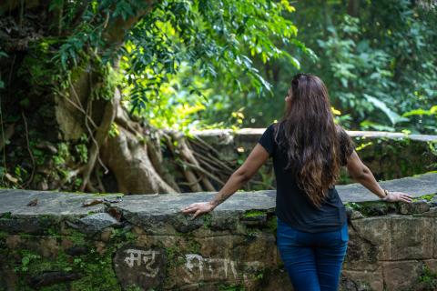 Ruins of Palamu Fort, Latehar, Jharkhand