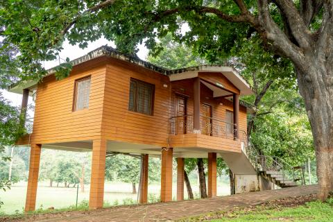 Tree house at Betla National Park, Latehar