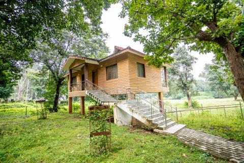 Tree house at Betla National Park, Latehar