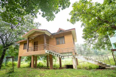 Tree house at Betla National Park, Latehar