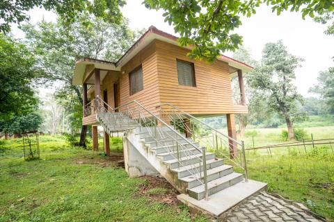 Tree house at Betla National Park, Latehar