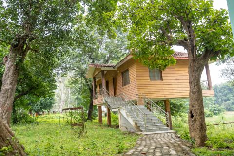 Tree house at Betla National Park, Latehar