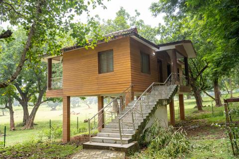 Tree house at Betla National Park, Latehar