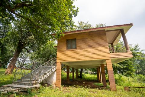 Tree house at Betla National Park, Latehar