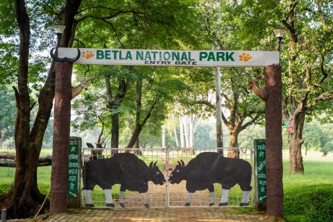 Betla National Park, Latehar