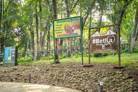 Betla National Park, Latehar