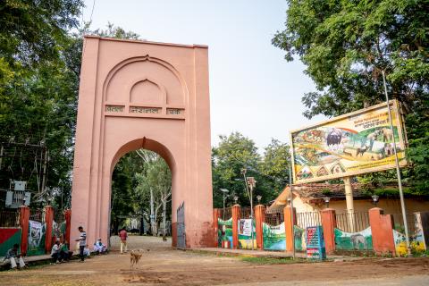 Betla National Park, Latehar