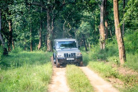 Betla National Park, Latehar