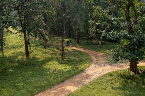 Betla National Park, Latehar