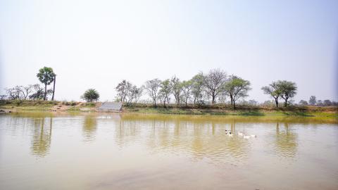 Village Landscape